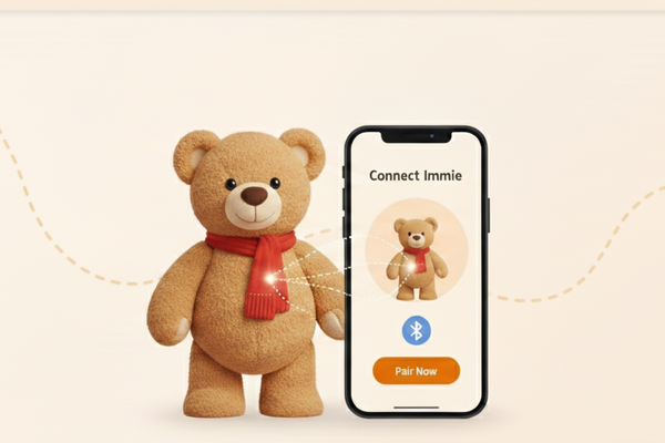 Connect Your Immiie